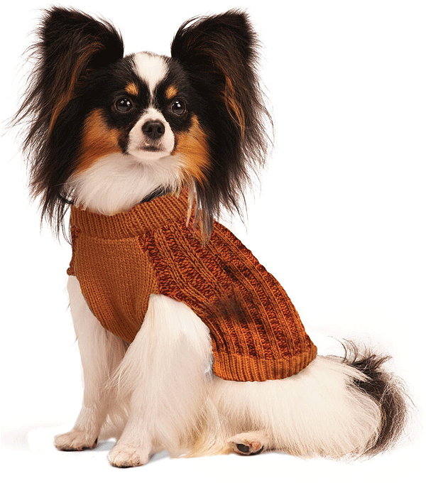 COSMO Autumn Sweater L