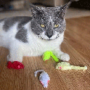 ETHICAL/SPOT Cat Display - Colorful Plush Mice 96pc