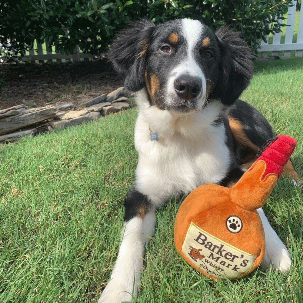 HUXLEY & KENT Dog Power Plush Barker's Mark S