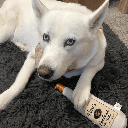 HUXLEY & KENT Dog Power Plush Toto's Pawdka S