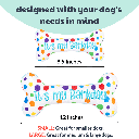 HUXLEY & KENT Dog Power Plush It's My Barkday Bone S