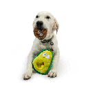 HUXLEY & KENT Dog Pop 'n Fetch Avocado S