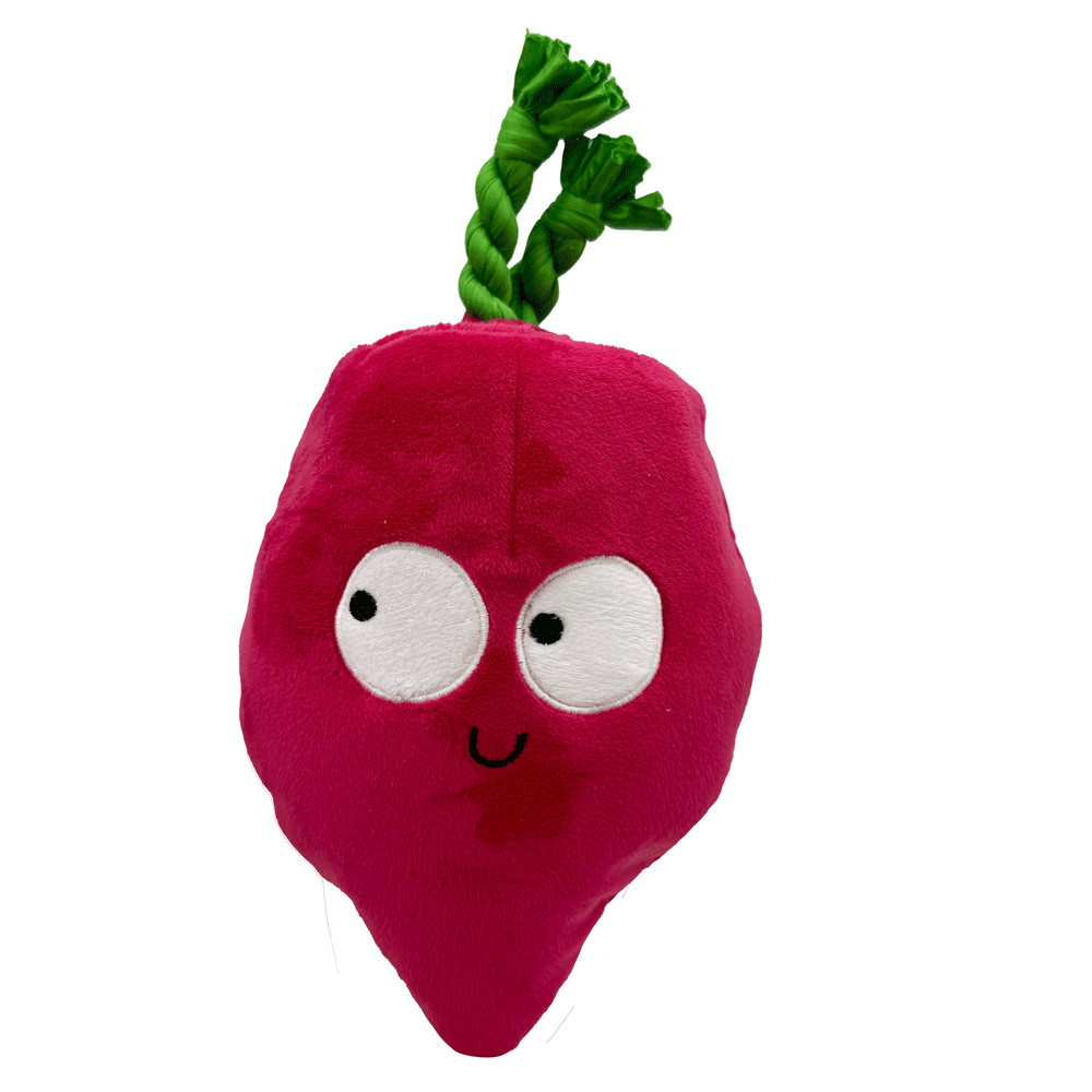 HUXLEY & KENT Dog Pop 'n Fetch Beet L