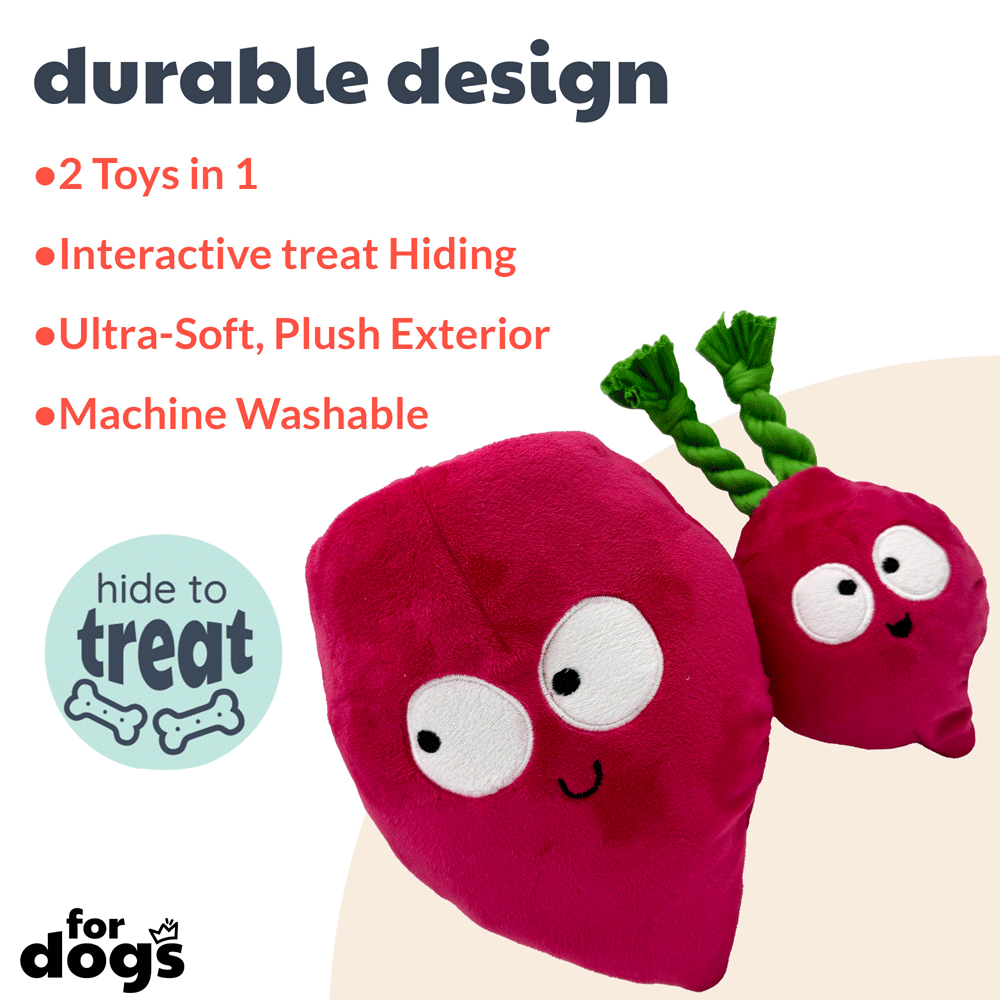 HUXLEY & KENT Dog Pop 'n Fetch Beet L