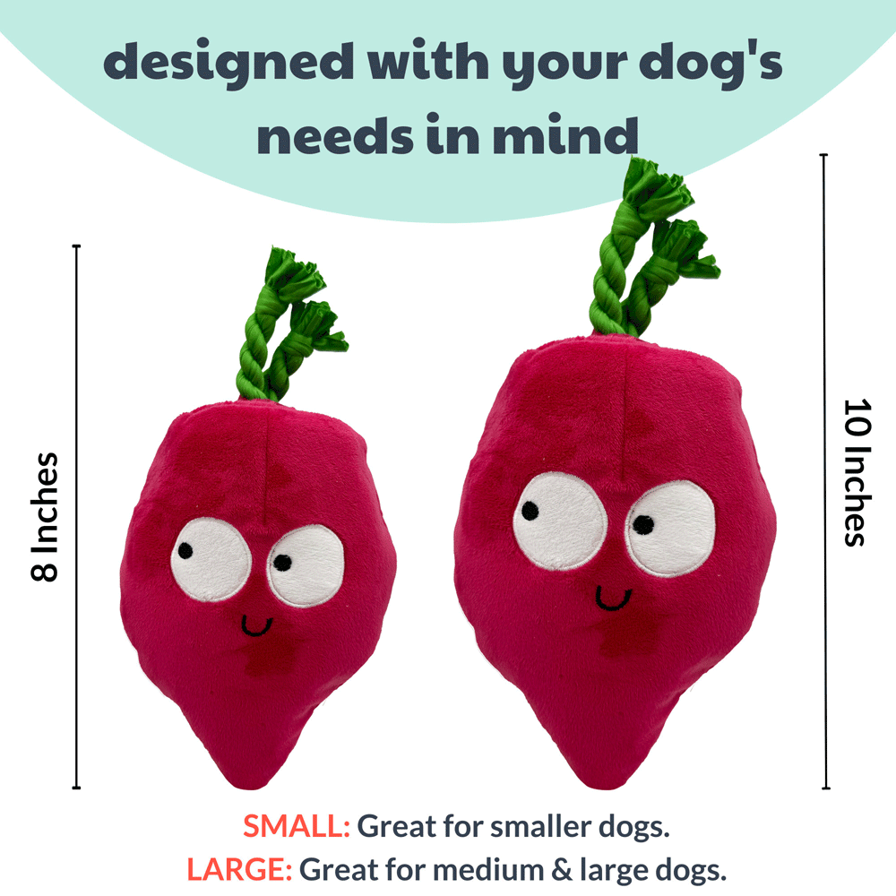HUXLEY & KENT Dog Pop 'n Fetch Beet L