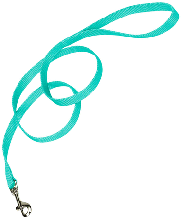 COASTAL Nylon Lead 6'x5/8 Teal