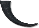 *WILD EATS Water Buffalo Horn L