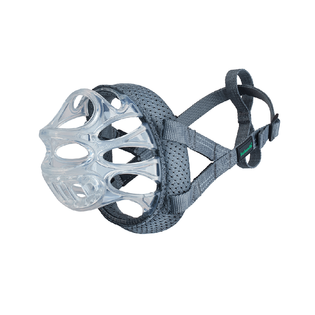 COMPANY OF ANIMALS Baskerville Invisa Muzzle Size 4 Clear