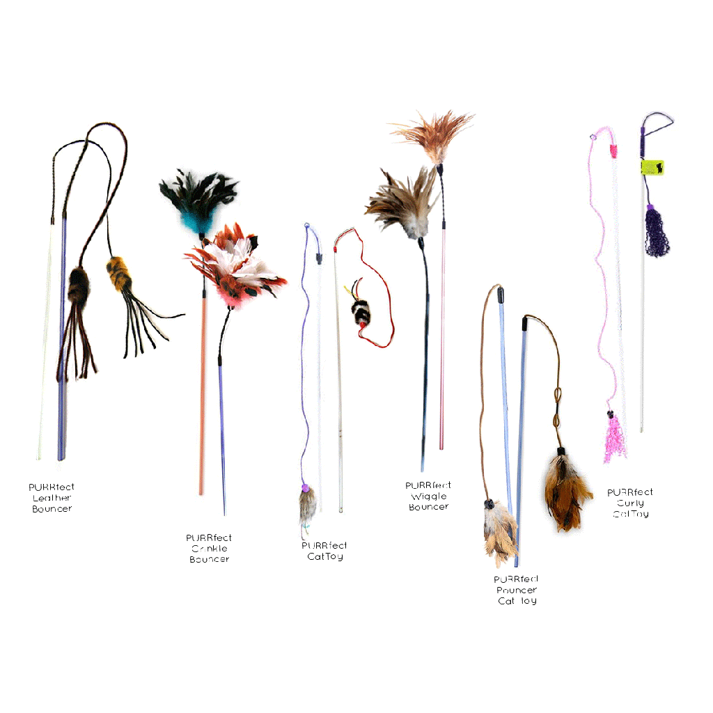 VEE ENTERPRISES Favorites Assorted 12ct