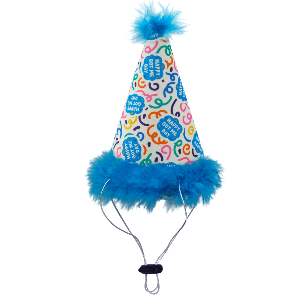 HUXLEY & KENT Party Hat Happy Got Me Day L