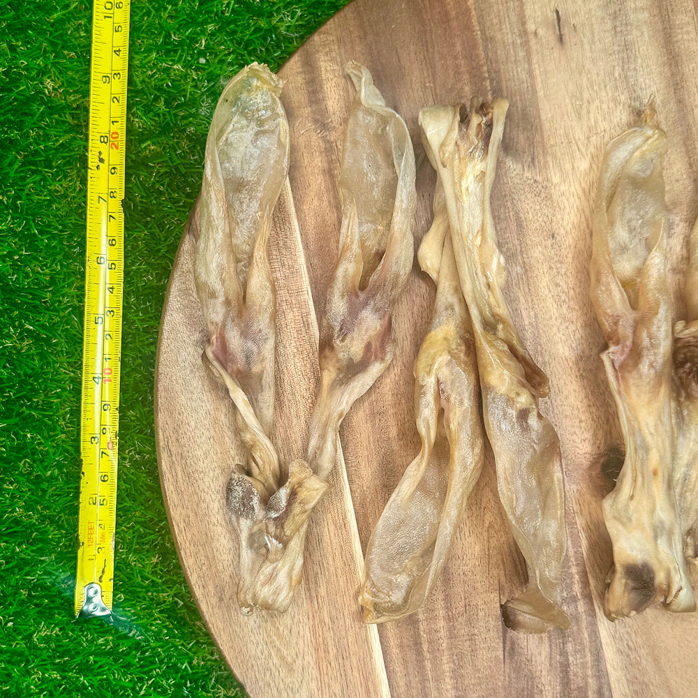 FUREVER FIERCE Furless & Attached Rabbit Ears 3ct Bag