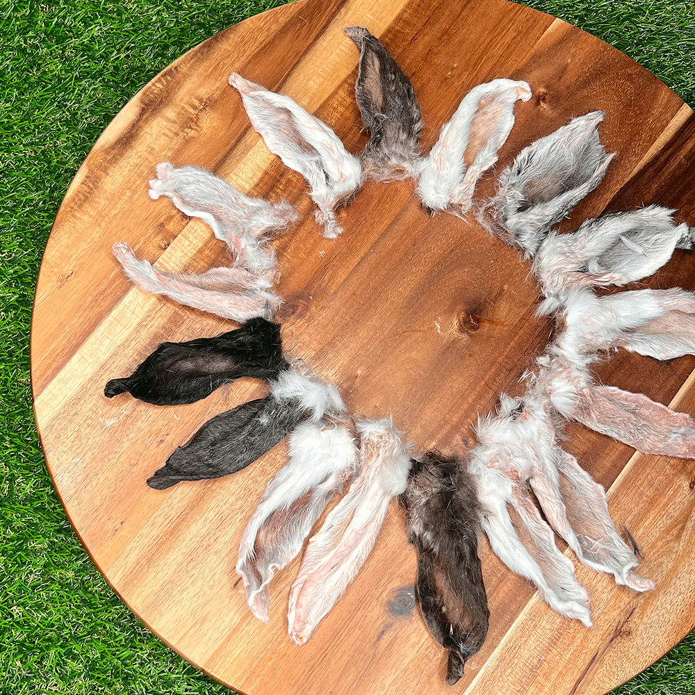 FUREVER FIERCE Rabbit Ears Bulk Case 90ct