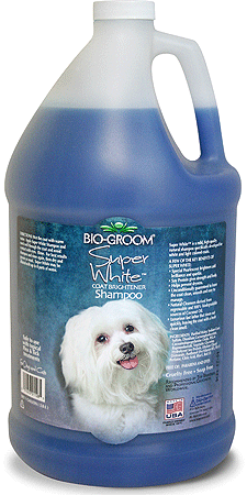 BIO-GROOM Super White Shampoo Gallon