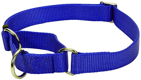 COASTAL Adjustable No Slip Collar14-20x3/4 Blue