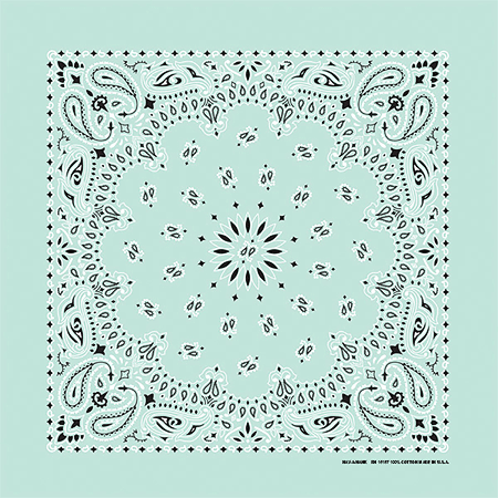 BANDANNA Paisley Mint 12pk