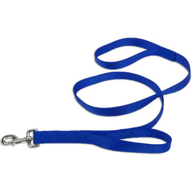 COASTAL Loops Lead w/handle 6'x1 Blue