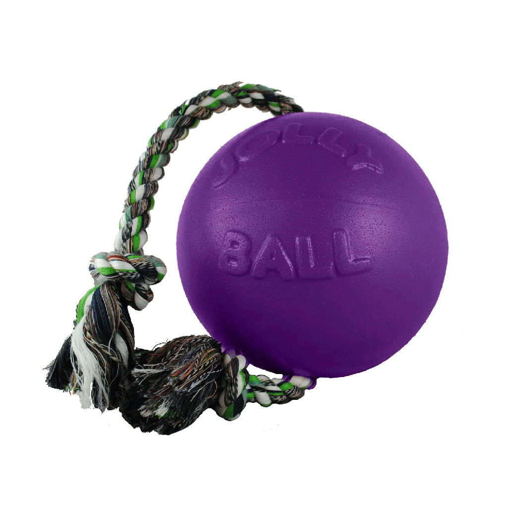 JOLLYPET Romp-n-Roll 6" Purple M
