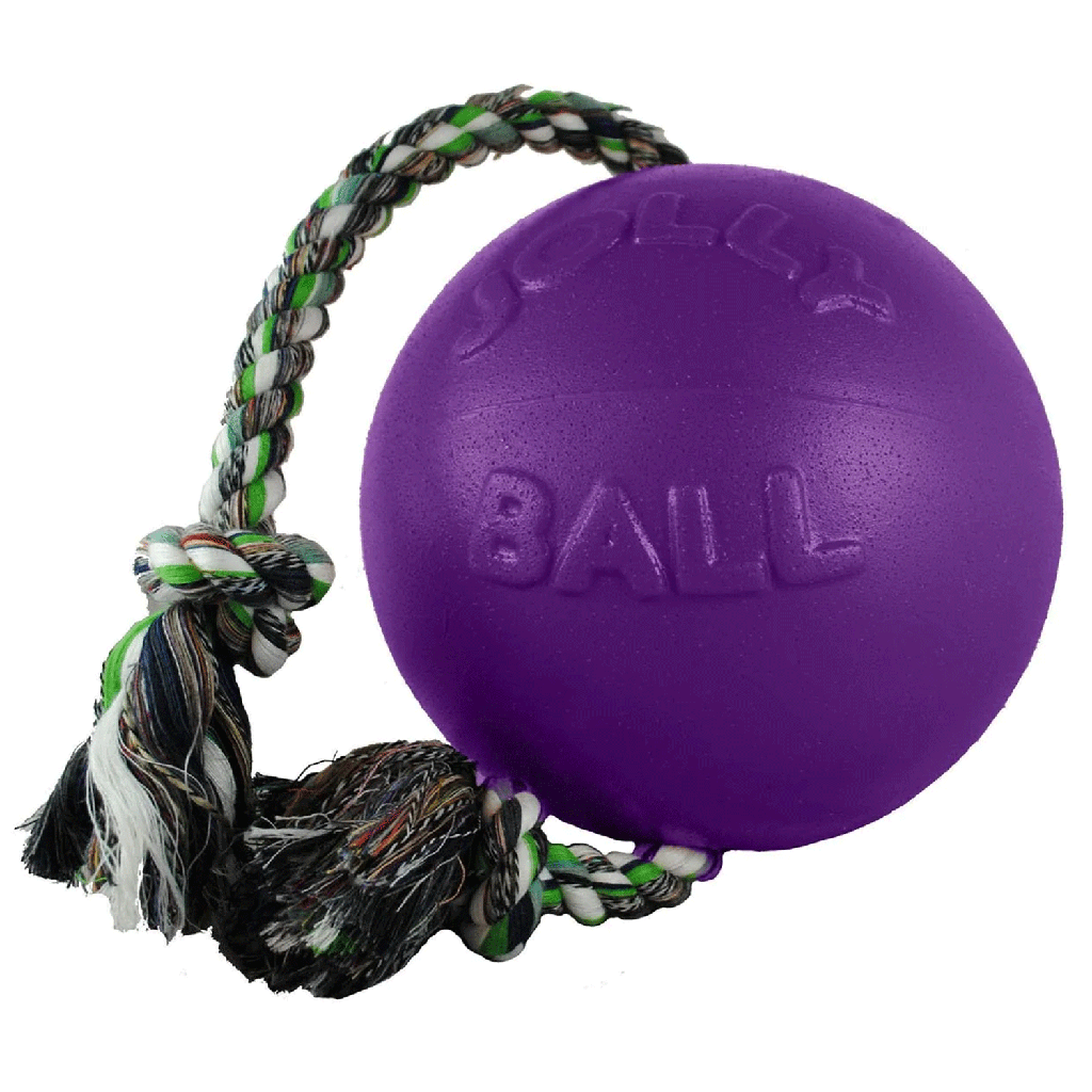 JOLLYPET Romp-n-Roll 8" Purple L 