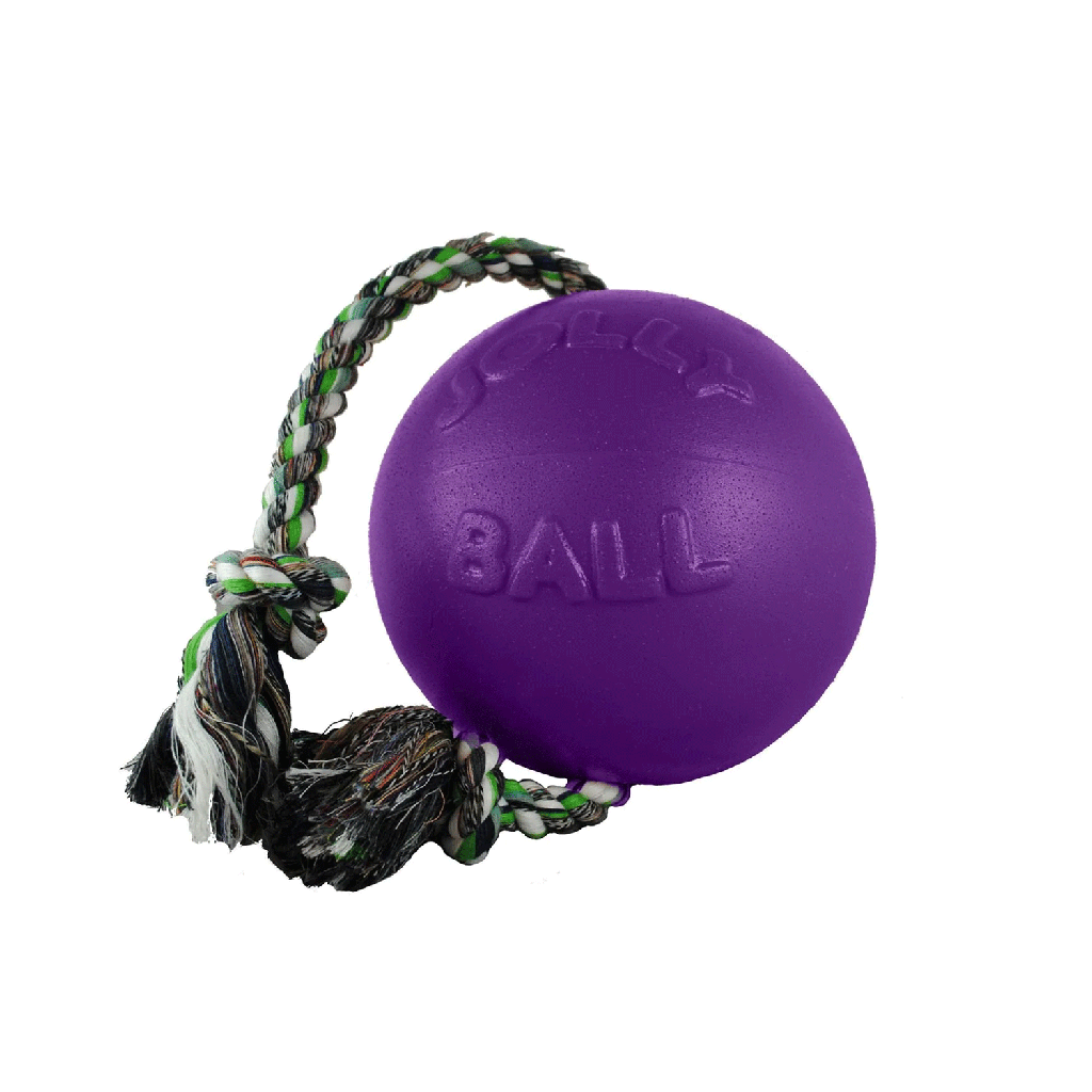 JOLLYPET Romp-n-Roll 4.5" Purple S