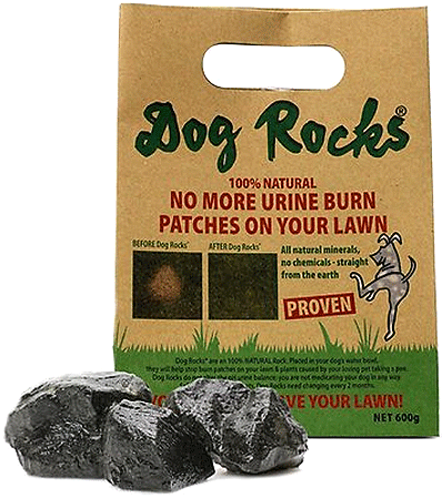[DR00004] *DOG ROCKS 6 Month Supply