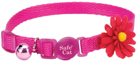 [CA6706 PINK] *COASTAL Safe Cat Embellished Fashion Collar 8-12x3/8 Pink