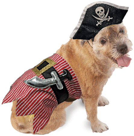 [FPH10482 XS/S] *FASHION PET Halloween Costume Pirate XS/S