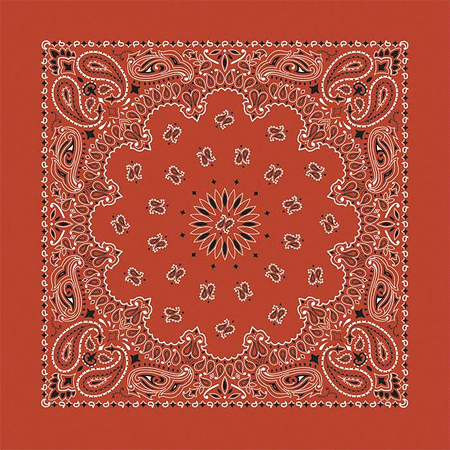 [BAN014] *BANDANNA Paisley Terracotta 12pk