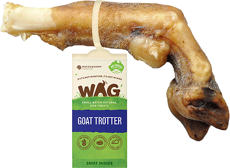 [WAG00456] *WAG Goat Trotter S 6-8"