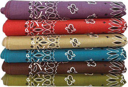 [BAN295] BANDANNA Paisley Asst Earth Tone 12pk