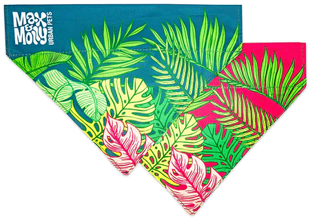 [MAX02532] MAX&MOLLY Bandana Tropical XS/S