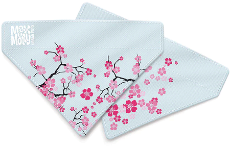 [MAX05936] MAX&MOLLY Bandana Cherry Bloom XS/S