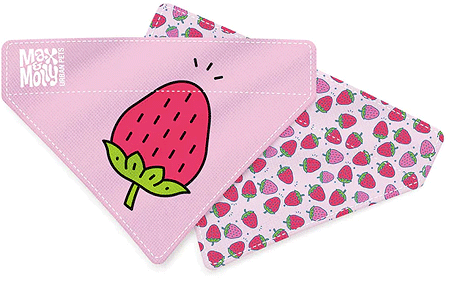 [MAX05940] MAX&MOLLY Bandana Strawberry Dream XS/S