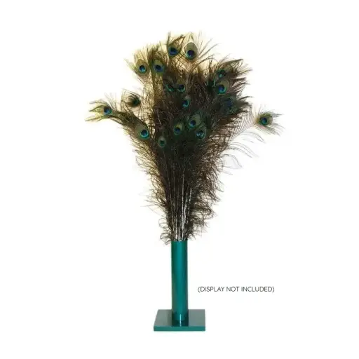 [VE00006-BULK] VEE ENTERPRISES PURRfect Peacock Feather Cat Toy 100ct