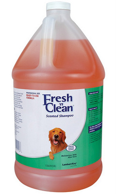 [LK21566] LAMBERT KAY Fresh'n Clean Shampoo G