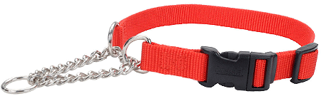 [CA66411 RED] COASTAL Check Training Collar w/Buckle - 5/8 x 14-18in - Red