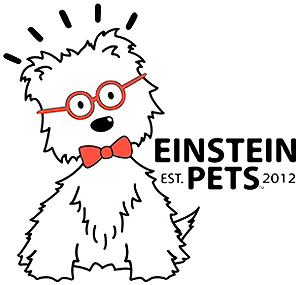 Einstein Pets