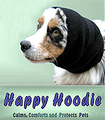 Happy Hoodie