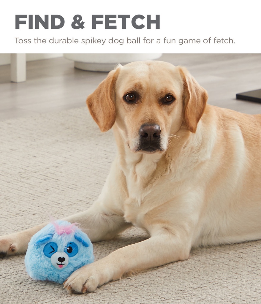 OUTWARD HOUND Reversi-Balls Spike Ball Blue Panda