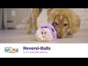 OUTWARD HOUND Reversi-Balls Spike Ball Blue Panda