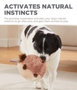 OUTWARD HOUND Jumbros Grunting Ball Brown Guinea Pig