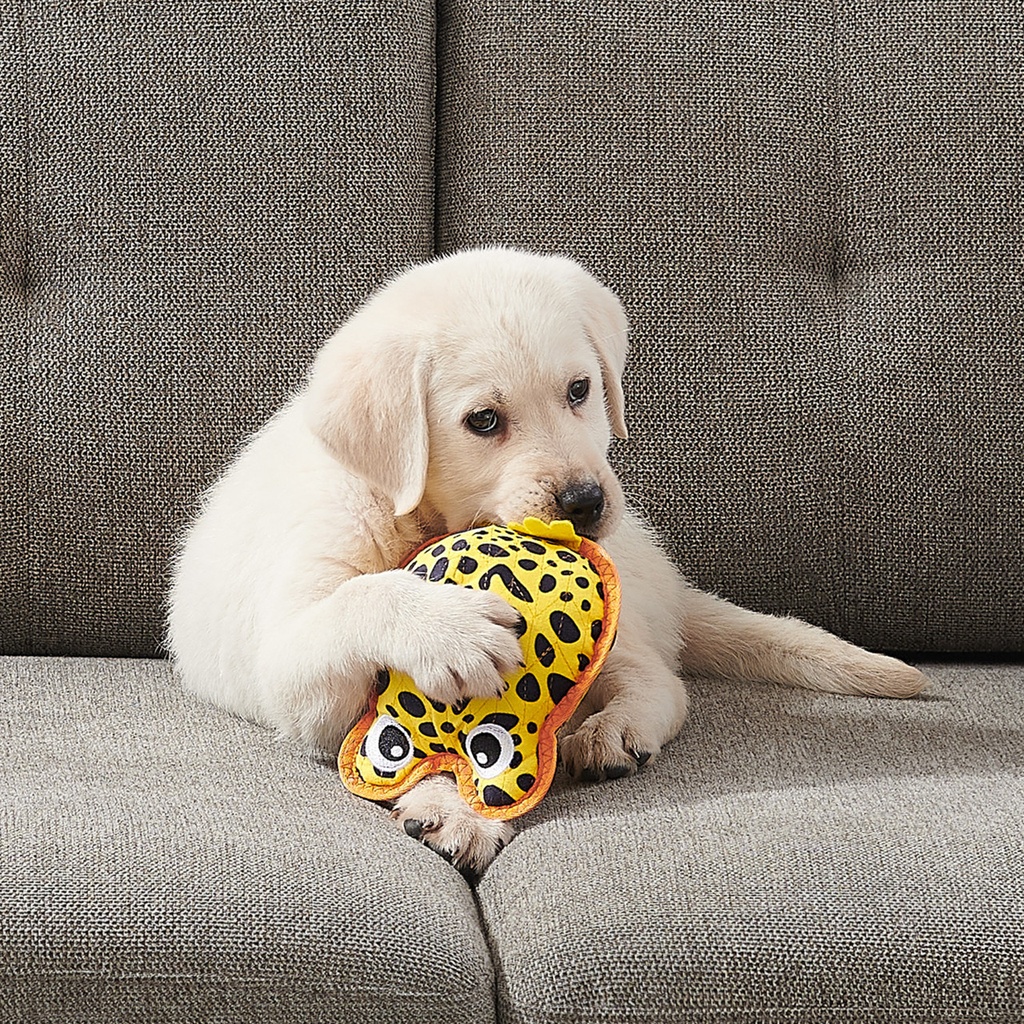 OUTWARD HOUND Xtreme Seamz Yellow Dart Frog Medium