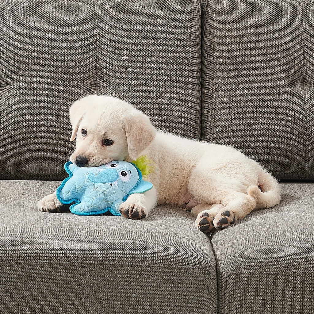 OUTWARD HOUND Xtreme Seamz Blue Elephant Medium