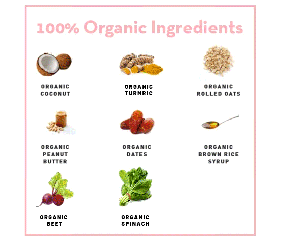 LORD JAMESON Celebration Bash Large Breed Organic Dog Treats 10oz