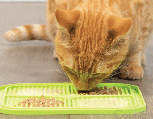 BOREDOM BUSTERS Licking Mat for Cats Relax Green