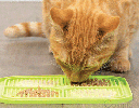 BOREDOM BUSTERS Licking Mat for Cats Relax Green