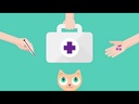 CHECK UP 10-in-1 Parameters Strips 50ct