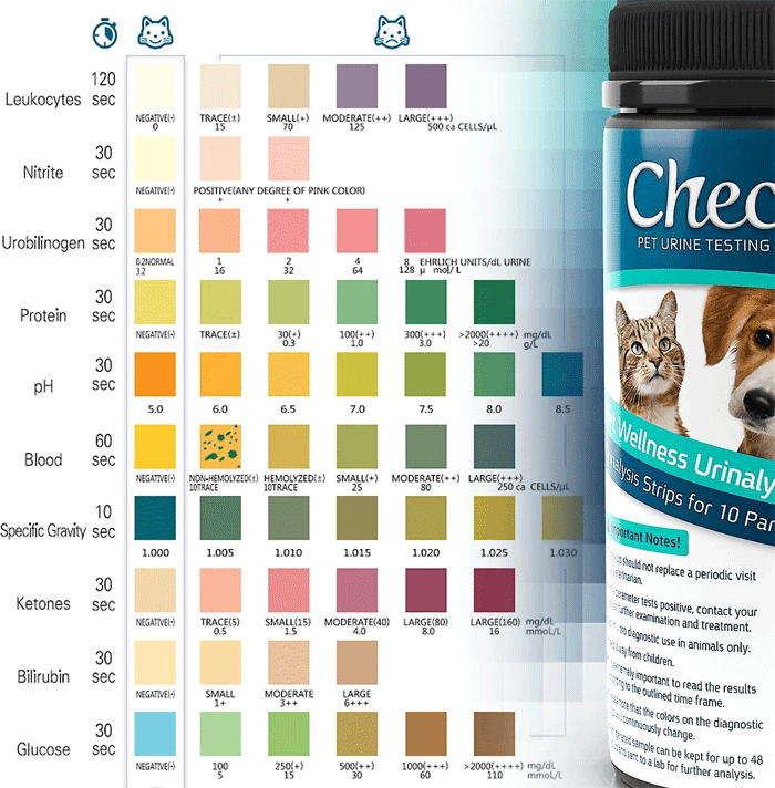 CHECK UP 10-in-1 Parameters Strips 50ct
