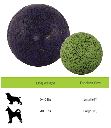 HOLIDAY JOLLYPET Soccer Ball 6in
