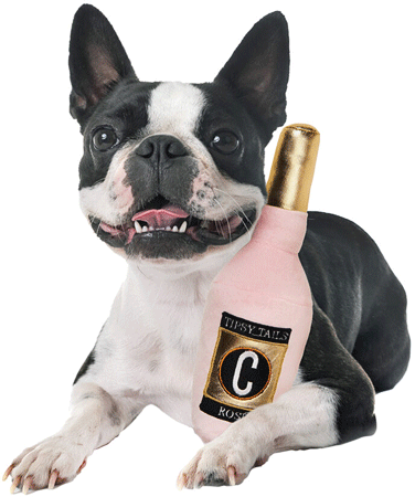 COSMO Rose' Bottle 10"