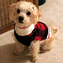 *FASHION PET Plaid Sweater M Red/Black